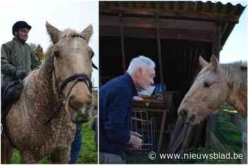 Seger (84) maakt nog geregeld ritjes te paard: “Sinds twee jaar stap ik wel met een stoel op”