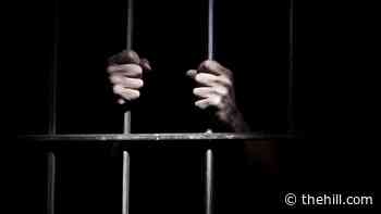 Oversight panel eyes excessive bail, jail overcrowding in New York City