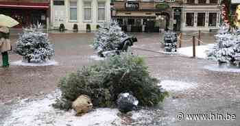 Dronken man vernielt kerstbomen op Grote Markt: dader geïdentificeerd via camerabeelden - Het Laatste Nieuws