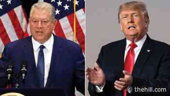 Judge says Gore, unlike Trump, 'was a man' and accepted election loss