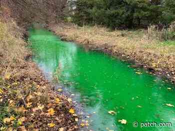 Creek That Turned Green In Clinton Township Not Toxic: Officials - Patch.com