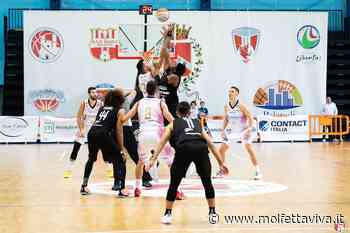 Torna alla vittoria la Pavimaro Molfetta: battuta la Meta Formia - MolfettaViva