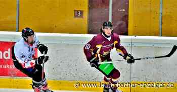 Luchse Lauterbach siegen 10:2 bei den Löwen - Lauterbacher Anzeiger