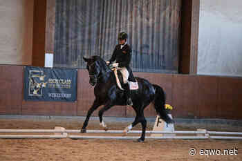 Sturz am Turnier: Peter Gmoser mit zwei Cup-Siegen Richtung Krankenhaus - EQWO - Equestrian Worldwide