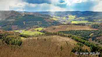 Siegen-Wittgenstein: Natur- und Landschaftspfleger gesucht - Westfalenpost