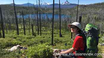 Snow Cover Critical For Revegetation Following Forest Fires - Eurasia Review