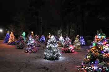 4H Community Forest Sells Out - CKBW