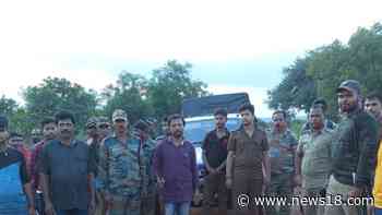 3 Forest Personnel Injured in Elephant Attack During Radio Collar Project - News18