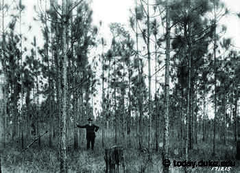 Happy 90th, Duke Forest | Duke Today - Duke Today