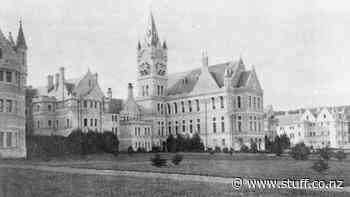 New future looms for a former asylum and its 'enchanted forest' - Stuff.co.nz