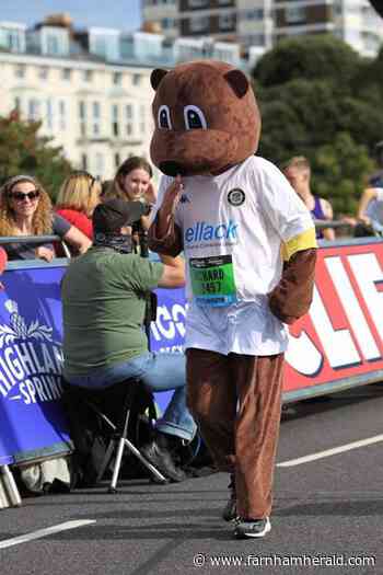 Marmots are back in Alton for Christmas - Farnham Herald