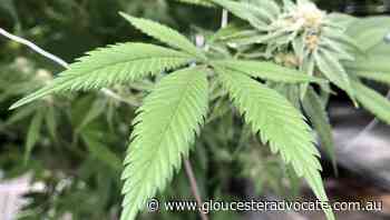 Uber Eats to delivery cannabis in Ontario - Gloucester Advocate