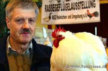 Rassegeflügel darf sich noch mal zeigen - Freie Presse