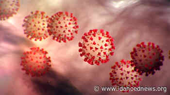 As hospital restrictions ease, coronavirus case rates continue to fall - Idaho EdNews