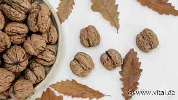 Diese 6 Dinge passieren, wenn Sie täglich Walnüsse essen - Vital