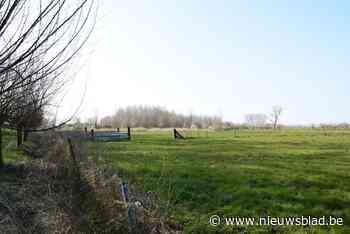 Help mee extra bos te planten in de Vallei van de Poekebeek