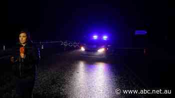 Bus catches fire in Bulgaria, killing 45 people onboard, including children