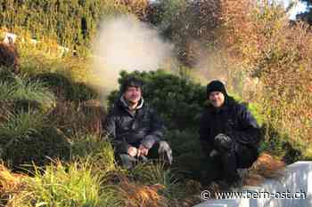 Boll - Ein Nebelgarten am Südhang - Bern-Ost