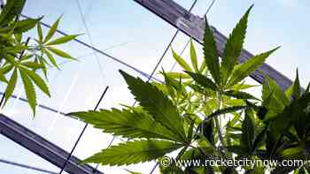 Medical Cannabis Commission doctor details possible products, costs - WZDX