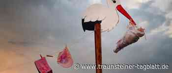 Traunstein: Holzstorch im Straßengraben gefunden - Traunsteiner Tagblatt