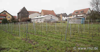 Hirschberg: Was für und gegen Wachstum "Im Kissel" spricht - rnz.de