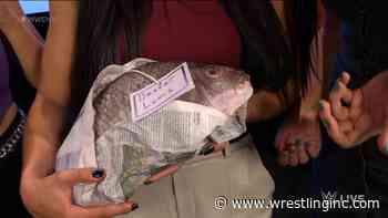 WWE NXT 2.0 Matches And Segment Revealed For Next Week - Wrestling Inc.