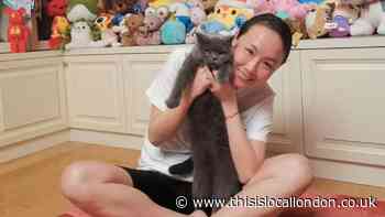 The role of censorship in the Peng Shuai case