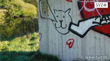 Parchim: Zeuge hält Graffiti-Sprayer fest und ruft Polizei | svz.de - svz.de