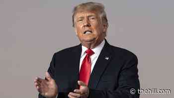 Trump allies leaning on his executive privilege claims