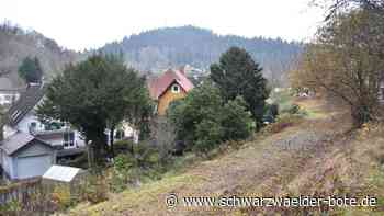 Straßenbahn im Schiltachtal - Ideengeber stellt eigene „Machbarkeitsstudie“ zur Reaktivierung vor - Schwarzwälder Bote