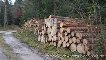 Gemeindewald Schenkenzell - Gemeindekasse soll nach Durststrecke wieder vom Holz profitieren - Schwarzwälder Bote