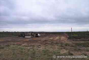 Defensie oefent opnieuw op Groot Schietveld, ook herstel heide schiet op
