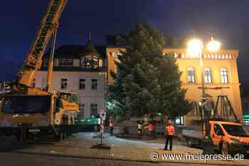 Tanne braucht lange bis vor das Rathaus - Freie Presse
