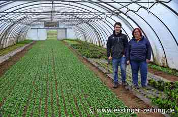Nach dem Tod von Rupert Schickinger - Reichenbacher Bio-Hof besteht weiter - esslinger-zeitung.de