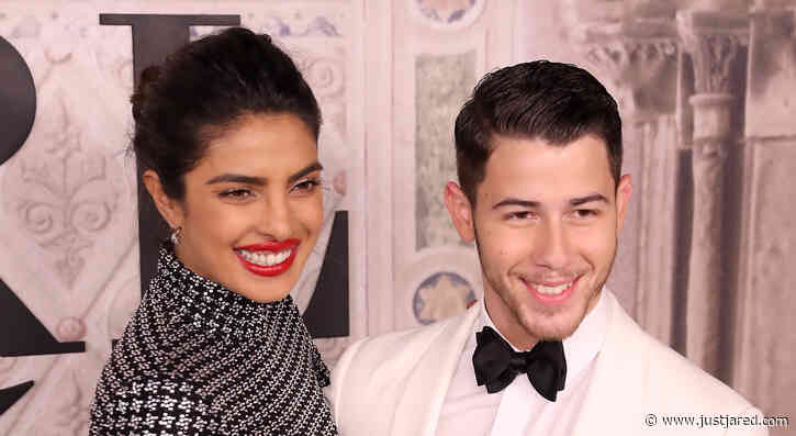 Priyanka Chopra's New Comment on Nick Jonas' Instagram Post Puts Split Rumors to Rest