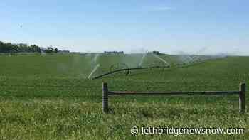 Alberta changes how Water Act licenses are regulated - Lethbridge News Now