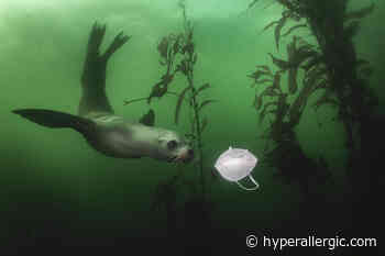 The Deep Emotional Appeal Of Nature Photos