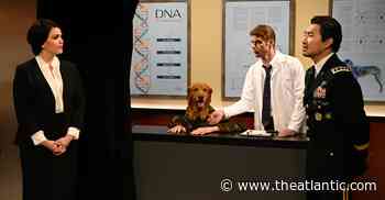 How Saturday Night Live Turned Itself Into The Internet