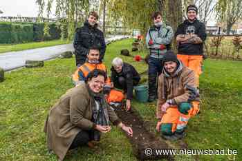 Deze gemeente heeft groot hart voor bijen en plant daarom 19.000 bloembollen