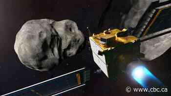 NASA to launch test mission of asteroid-deflecting spacecraft