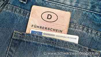 Was steckt dahinter?: Fragen und Antworten zum Führerschein-Tausch im Kreis Calw