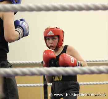 Young boxers from an Epping club take to the ring