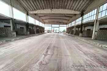 Ripulito mercato ortofrutticolo: e adesso? - TraniViva