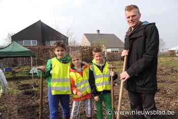 61 ouders willen een boom planten in eigen tuin of elders als aandenken aan de geboorte van hun kindje