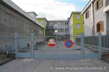 BAIANO/SPERONE. Celebrata ala scuola dell'infanzia la “Festa dell'Albero” - Mandamento Notizie