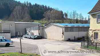 Entwicklung in Gutekunst-Areal: Lösung kommt im zweiten Anlauf