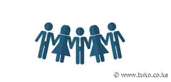 Sociology vs social work: Which degree is better for a social worker? - Tuko.co.ke