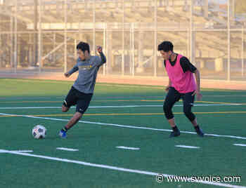Wilcox Soccer Looking to Build Off Undefeated Season - The Silicon Valley Voice