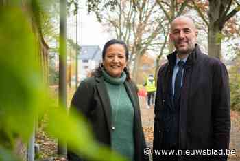 Schooldirecteur Dirk Letens is nieuwe voorzitter van jeugdwerking J@M