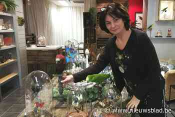 Studio Talpa opent unieke pop-up met opgezette dieren